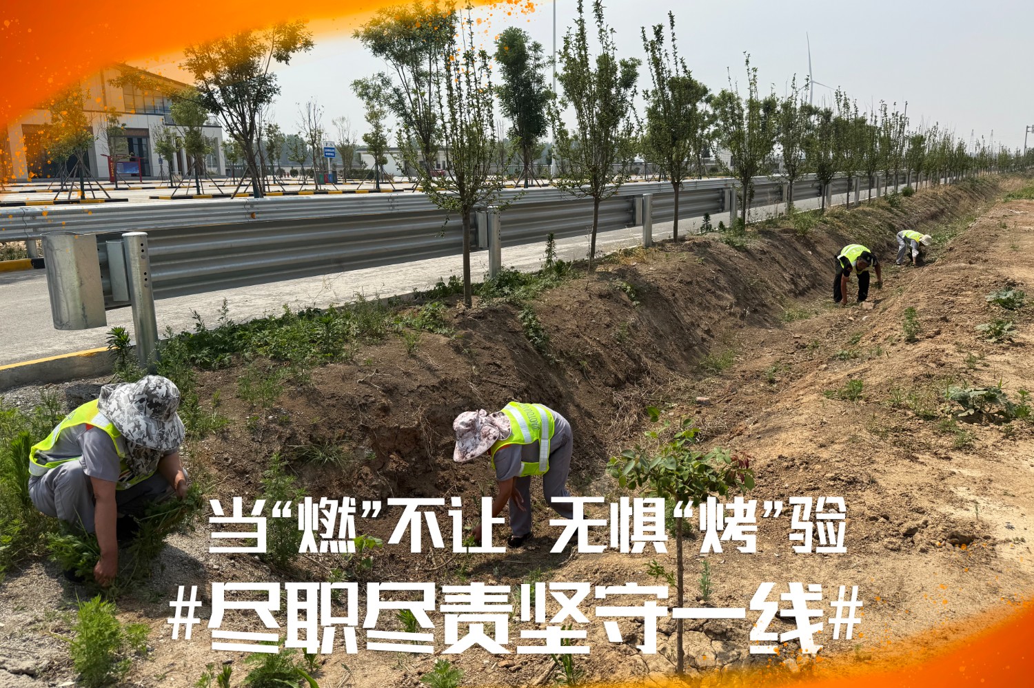 西平2.jpg